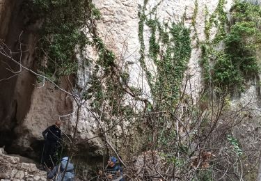 Trail Walking La Roquebrussanne - La Loube 28-02-2024 - Photo
