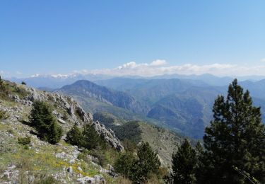 Randonnée Marche Levens - Sommet du Ferion - Photo