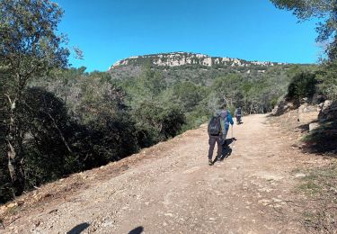 Trail Walking Cuers - pilon St Clément-06-03-2024 - Photo