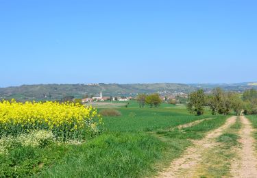 Trail Walking Saint-Quintin-sur-Sioule - St_Quintin_Source_Charponne - Photo