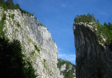 Randonnée A pied Gheorgheni - Cheile Bicazului - Șaua Cupaș - Photo