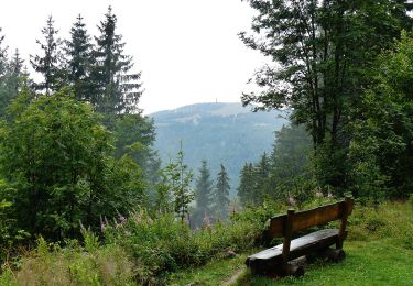 Trail On foot Feldberg - Altglashütten - Feldberg-Caritashaus - Photo
