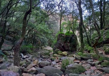 Randonnée Marche Bagnols-en-Forêt - Gorges du Blavet au col de la pierre du coucou - Photo