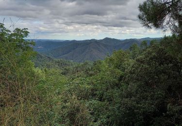 Tour Wandern Saint-Jean-du-Gard - Col St Pierre,  sentier d 'Auriol - Photo