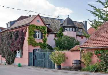 Randonnée A pied Lörzweiler - Lörzweiler Weinwanderweg - Photo