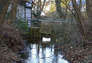 Excursión A pie Detmold - Rundwanderweg A5 [Berlebeck] - Photo