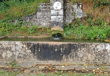 Trail Walking Conliège - Fontaine de Fontenaille  - Photo