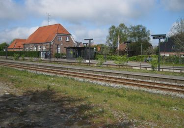 Excursión A pie  - Bølling Sø rundt - Photo