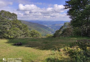 Trail Walking Ranspach - Le Markstein - Photo