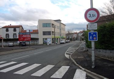 Tocht Te voet Le Cendre - De l'Auzon a Gondole - Photo