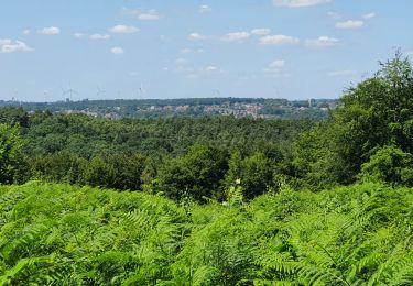 Trail Walking Nandrin - boucle bois d'Ombret et ruisseau du fond d'Oxhe - Photo