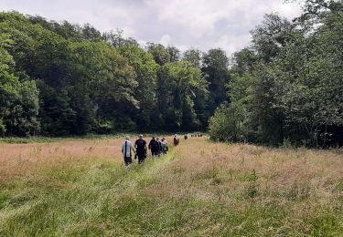 Tour Nordic Walking Doische - Vodelee 17 06 24 - Photo