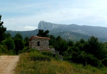 Tour Mountainbike Gémenos - Jas de Miceau  en boucle depuis Gemenos - Photo