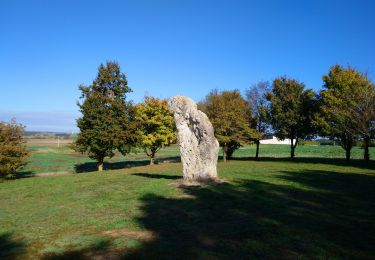 Trail Walking Draché - Draché - GR655 Sainte-Maure-de-Touraine Marcé-sur-Esves - 26.4km 260m 6h00 (30mn) - 2022 10 08 - Photo