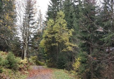 Percorso Marcia Arâches-la-Frasse - Les Carroz, Mont Favy, pierre à Laya, Araches, remontée par les Nantes praz rôti, retour par les grangettes - Photo