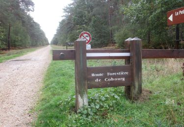 Tour Wandern Les Damps - 20201013-Les Damps COOL - Photo