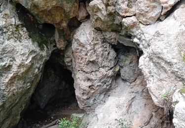 Trail Walking Le Barroux - le barroux - Photo