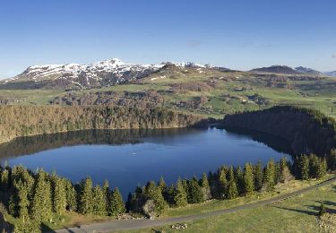 Excursión Senderismo Besse-et-Saint-Anastaise - Lac_Pavin_Montchal - Photo