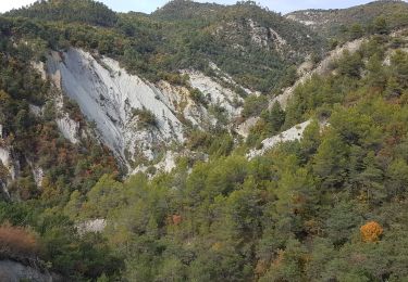 Tour Wandern Cuébris - cuebris - Photo