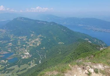 Tour Wandern La Chapelle-du-Mont-du-Chat - 270523 Tour et Dent du Chat - Photo