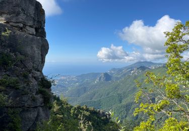 Excursión Senderismo Castillon - SityTrail - Grammondo 3 - Photo