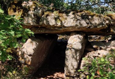 Trail Walking La Cavalerie - St Eulalie de Cernon - Photo