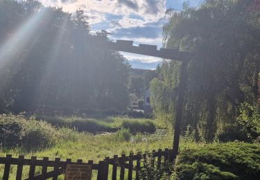 Tour Wandern Consdorf - Mullerthal Consdorf C5  Budelerkummer-Schelmenlay-Rammerlay (PVDB) - Photo