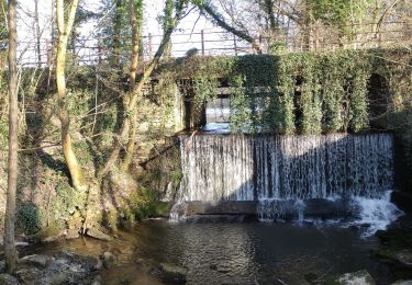 Tocht Stappen Signy-le-Petit - Signy le petit  - Photo