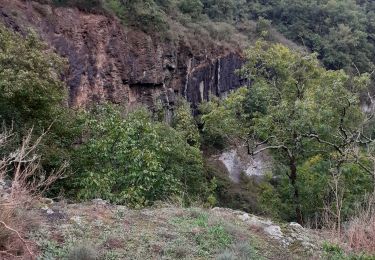 Tour Wandern Saint-Gineys-en-Coiron - St Gineys /Coiron - Photo