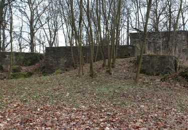 Tour Zu Fuß Gladenbach - Sebastian-Kneipp-Weg - Photo