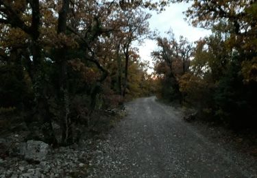 Tocht Stappen Réauville - 27 11 19 - Photo
