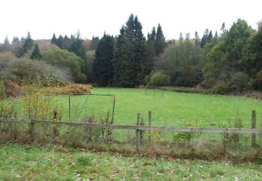 Randonnée A pied  - Bedburn Valley Walk - Photo