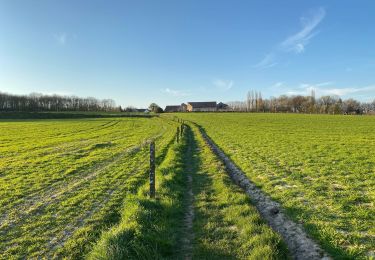 Trail Walking Berchem-Sainte-Agathe - Sint-Agatha-Berchem - Le tour de la station service 10 km - Photo