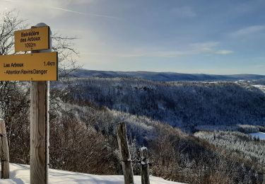 Percorso Racchette da neve Foncine-le-Haut - Foncine le Haut Le Bayard 12km 20200119 - Photo