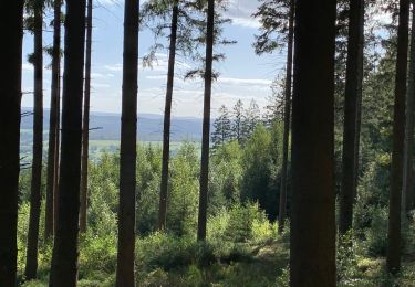 Trail Horseback riding Theux - La Reid Les Cours - Photo