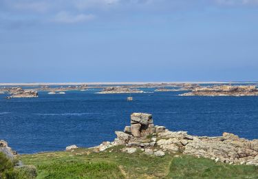 Excursión Senderismo Île-de-Bréhat - Brehat - Photo