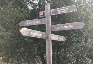 Trail Walking Carcans - 07-95-2019 jour 7 25km - Photo