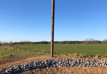 Trail Walking Sprimont - Louveigne-Banneux 12 Km - Photo