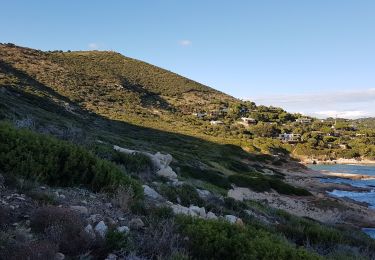 Trail Walking Ramatuelle - PRESQU'ÎLE DE SAINT-TROPEZ - DE L'ESCALET AU CAP TAILLAT - Photo