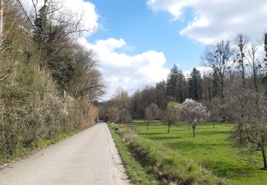 Tocht Stappen Aywaille - aywaille - martinrive a/r de part et d autre de l ambleve - Photo