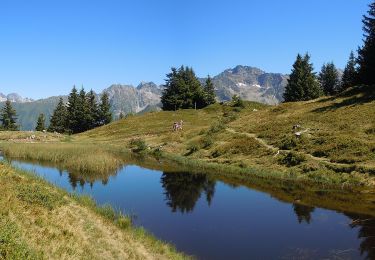 Trail On foot Le Haut-Bréda - Tour Pays Allevard - Photo