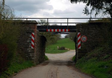 Randonnée A pied Helmstadt-Bargen - Rundwanderweg Helmstadt 1: Flinsbach-Weg - Photo