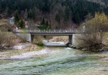 Tocht Te voet Gemeinde Schwarzau im Gebirge - Schnellerwagsteig - Photo