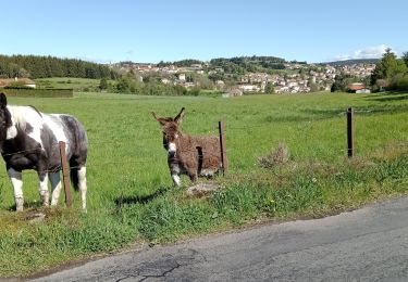 Tocht Stappen Pradelles - Stevenson Pradelles - Le Cheylard l'Evèque - Photo