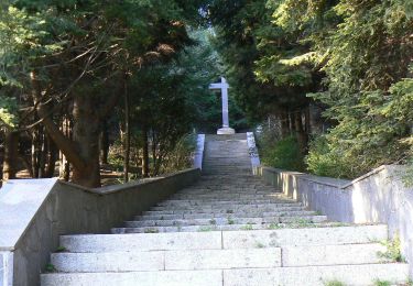 Excursión A pie Mele - Masone-Sacrario dei Martiri del Turchino - Photo