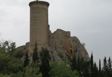 Trail Walking Châteauneuf-du-Pape - les bords du Rhône  - Photo