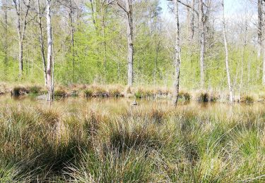 Tour Wandern Doische - Matagne la grande - Photo