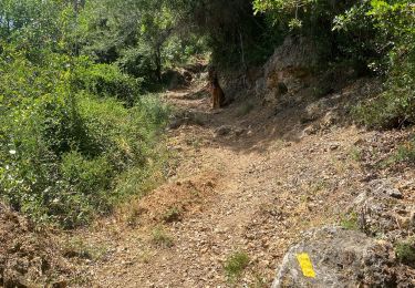 Tour sport Gilette - La mesta pont Charle Albert - Photo