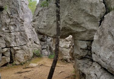 Tour Wandern Berrias-et-Casteljau - Tour Lou-castel  - Photo