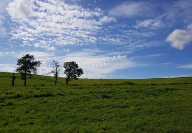 Randonnée Marche Seneffe - Feluy 0921 - Photo